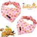 Aring Pet Dog Bandana - Cotton Pumpkin Triangle Neckerchief for Small & Large Dogs & Cats - Comfortable Pink Bibs - Buy Online on GoSupps.com