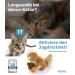Buy Pettec Interactive Cat Toys - Electric Movable Squirrel with Catnip | Automatic Self-Employment Toy for Cats - Buy Online on GoSupps.com