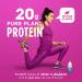 Ripple Vegan Protein Shake - Vanilla | 20g Plant-Based Pea Protein | Gluten, Soy, Nut & Lactose Free | 12 Oz (Pack of 12) - Buy Online on GoSupps.com