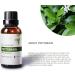 Petitgrain Essential Oil 1 oz - 100% Pure Therapeutic Grade for Aromatherapy & Relaxation - International Shipping Available - Buy Online on GoSupps.com