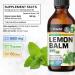 BIO KRAUTER Lemon Balm Tincture 680 mg Melissa Officinalis - Pure Vegan Lemon Balm Extract 4 Fl.Oz 56 Days of Supply - Natural Calming & Sleep Support - Alcohol & Sugar Free - Digestion & Relaxation 4 Fl Oz (Pack of 1) - Buy Online on GoSupps.com