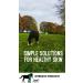 Biteback Products 'Sweet Relief' - Midge Barrier Lotion Spray with Benzyl Benzoate for Insect & Bug Defence Ideal for Outdoor Horse Protection - 1000ml Spray - Buy Online on GoSupps.com