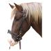 Kerbl cold-blood bridle brown 1 piece (1 pack)