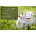 I m NOT A Baby! Kids Goat Milk Face Wash - Gentle Facial Cleanser for Sensitive Skin - Buy Online on GoSupps.com