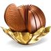 Terry's Original - Orange Flavoured Milk Chocolatey Confection Pack of 1 (157g) - Buy Online on GoSupps.com