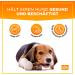 Natural Dog Treats | 100% Natural Beef Head Chews for Dogs & Puppies | Best Tooth Cleaning Kausnack | 5-Pack 15cm Oxenziemer - Buy Online on GoSupps.com