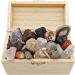 Rokkolino Treasure Chest: Real Minerals Gemstones & Fossils - Discover Nature's Treasures - Buy Online on GoSupps.com