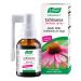 A. Vogel Echinaforce Natural Soothing Throat Spray - Fresh Organic Echinacea Plant & Sage - Targeted Nozzle - Immune Support Supplement - Throat Health - Soy Dairy & Gluten Free - Non-GMO - 1 fl oz
