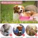 Rainpal Foldable Dog Water Bottle - 12oz Leak Proof Portable Pet Dispenser | BPA-Free Pink Travel Bottle for Hiking & Outdoor Adventures - Buy Online on GoSupps.com