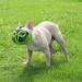 Jyhy Adjustable Short Snout Dog Muzzle - Breathable Mesh for Bulldogs | XL (46-64 cm) - Ideal for Biting Chewing Barking & Training - Buy Online on GoSupps.com