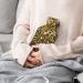Gold Glitter Hot Water Bottle with Plush Cover | Hand Warmer for Adults & Kids | 26.5x15.3cm | International Shipping - Buy Online on GoSupps.com