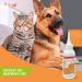 BEAPHAR ECOCERT-certified Eye Cleansing Lotion for dogs and cats Contains Cornflower Witch Hazel Rose and Organic Floral Waters Neutral pH Paraben/silicone/dye/alcohol free 100 ML - Buy Online on GoSupps.com