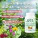 NutraPure Liver Cleanse Detox & Repair Capsules 20-in-1 Liver Detox Supplement with Dandelion Root Turmeric Milk Thistle Artichoke Leaf for Liver Cleanse & Digestion Aid Health 60 Capsules - Buy Online on GoSupps.com