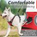 Eagloo Medium Dog Harness - Adjustable Anti-Train Harness with Reflective Strips for Walking & Jogging - Durable Red Pet Harness (1 Pack) - Buy Online on GoSupps.com