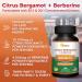 aSquared Nutrition Citrus Bergamot with Berberine Supplement - 1400mg Max Strength Complex - 120 Capsules - 25:1 Extract - High Cholesterol Support - Pills Alternative to Gummies & Liquid Drops - Buy Online on GoSupps.com