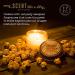 Library Scented Candle - 100% Soy Aromatherapy - Ideal Gift for Book Lovers - 4oz | Four Points Trading Co - Buy Online on GoSupps.com