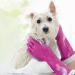Playtex Living Small Rubber Cleaning Gloves - 2 Pairs | Premium Reusable Household Gloves - Buy Online on GoSupps.com