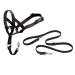 Halti head neck band and training leash combi pack stop the dog's pulling on walks contains head neck band size 5 and double leash black black size 5 head collar