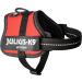 K9 Powerharness - Size 2XS/Baby 2 in Red | Premium Dog Harness for Small Breeds - International Shipping Available - Buy Online on GoSupps.com
