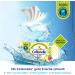 Cottonelle Kids Moist Toilet Paper - Fruity Fresh Biodegradable & Plastic-Free Advantage Pack 12x42 Wipes | Shop Internationally - Buy Online on GoSupps.com