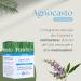  Fitoben Fitoben | Agnocasto 100% natural supplement for menstrual cycle and menstrual irregularities. Naturally gluten-free lactose-free and colorant-free. Made in Italy | 50 vegetable capsules - Buy Online on GoSupps.com