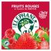 Elephant Flavored Infusion Red Fruit & Mint Flavor Rainforest Alliance Certified 100% Natural Origin Ingredients 20 Pyr