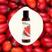 Plant Therapy Organic Rosehip Carrier Oil 4 oz For Skin and Hair Cold Pressed Supports Skin Hydration Fine Lines & Wrinkles Extra Virgin Vitamins A and E & Essential Fatty Acids - Buy Online on GoSupps.com