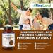 FineLand French Maritime Pine Bark 30:1 Extract Max Strength 450 mg Per Capsule Antioxidant 200 Veggie Caps of Pine Bark Supplement for 200 Days 100% Natural - Buy Online on GoSupps.com