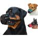 Collardirect Dog Muzzle - Adjustable Soft & Breathable Nylon for Small Medium & Large Dogs - Anti-Chewing Barking & Biting - Tribal Pattern 2 (L/XL) - Buy Online on GoSupps.com