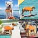 Kuoser Dog Life Jacket - Adjustable Reflective Pet Life Preserver for Small, Medium, and Large Dogs - High Flotation for Pool, Beach, Boating - Large, Yellow (Chest Girth 22.8-29.5'') - Buy Online on GoSupps.com