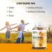 Organic Quercetin & Bromelain Gummy Supplement - 60 Pear-Flavored Chews for Immunity & Respiratory Health - Buy Online on GoSupps.com