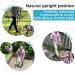 Honmido Folding Walking Cane for Seniors | Adjustable Height & Anti-Slip Lightweight Alloy | Self Standing & Collapsible for Travel | Mobility Aid for Men & Women | Black - Buy Online on GoSupps.com
