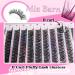 Buy MIZ BARN 144pcs D Curl Lash Clusters - Fluffy Individual Eyelashes 12-18mm for DIY Home Extensions - Buy Online on GoSupps.com