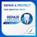 Sensodyne Repair and Protect Extra Fresh Toothpaste Strengthens and Protects Sensitive Teeth 75 mL (Packaging May Vary) Extra Fresh Tooth Cleaning Agent - Buy Online on GoSupps.com