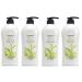 ARBORA Hand & Body Lotion WHITE TEA 25.4OZ/750ML Paraben Free Natural Ultra-Moisturizing Professional Massage Lotion Original from Korea Pack of 4