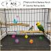 Natural Bamboo Bird Perch Stand Set for Budgies, Lovebirds, and Medium Parrots - 2PCS - Buy Online on GoSupps.com