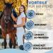 IceHOF Cooling Gaiters for Horses | Firm Hold & Comfortable Material | 2 Removable Cooling Packs | Washable & Protective Cooling Straps (2 Pieces) - Buy Online on GoSupps.com
