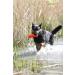 Buy Julius-K9 Aqua Food Dummie - Red Zip Floats - 20 cm | International Shipping - Buy Online on GoSupps.com