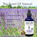 PURA D'OR Organic Lavender Essential Oil 4oz - 100% Pure & Natural Therapeutic Grade for Hair, Body, Skin - Aromatherapy, Relaxation, Massage - Glass Dropper - DIY Soap Lavender - 4 Fl Oz - Buy Online on GoSupps.com