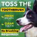 TropiClean Fresh Breath Dog Dental Water Additive - 33.8 oz (Pack of 3) | Dog Breath Freshener & Teeth Cleaner - Buy Online on GoSupps.com
