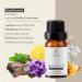 JCLOUD Royal Serenity Essential Oil - Ritz-Carlton Inspired Aromatherapy Diffuser Oil | Luxury Hotel Scents with Lemon Jasmine & Amber - 10mL - Buy Online on GoSupps.com