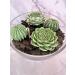 Buy Succulent Candle Centerpiece - Green | Shop Internationally at Your Store Name - Buy Online on GoSupps.com