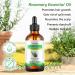 Rosemary Oil for Hair Growth & Skin Care -120ml 100% Pure Rosemary Essential Oil for Eyebrow and Eyelash Nourishes The Scalp Stimulates Hair Growth for Men Women - Buy Online on GoSupps.com