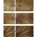 Clairol Nice'n Easy No Ammonia Hair Dye 73 Ash Blonde - 1 Count, Pack of 1 - Buy Online on GoSupps.com