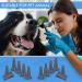 4 mm Otoscope Ear Specula Tips Compatible with welcelln K.a.w.e Ries-TER and H.e.i.n.e Otoscopes Disposable (4 MM 800 count) 4 mm 800Count - Buy Online on GoSupps.com