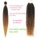 28'' Fayeta Ombre Pre Stretched Braiding Hair - 8 Pack Silky Color Blend Extensions - Kanekalon Synthetic Crochet Braids - Yaki Texture - 1b/30/27 - Buy Online on GoSupps.com
