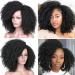 Lady Miranda Afro Short Kinky Synthetic Curly Wigs for Black Women - Natural and Stylish - Buy Online on GoSupps.com