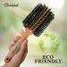 Bombshell Birch Wood Round Brush | Sustainable Boar Bristle Styling Brush | 3 Inch Round Hair Brush for Blowouts and Curling - Buy Online on GoSupps.com