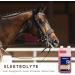 Supravit Electrolytes for Horses | 1000ml Dosing Bottle | Supports Hydration & Recovery from Sweating Diarrhea & Electrolyte Loss - Shop Internationally - Buy Online on GoSupps.com