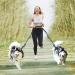 Uppetly Hands Free Dog Running Leash with Adjustable Waist Belt Dual Handle Elastic Bungees Retractable Rope for Medium and Large Dogs Reflective Stitches for Walking Hiking Biking With Pouch for 2 dogs - Buy Online on GoSupps.com